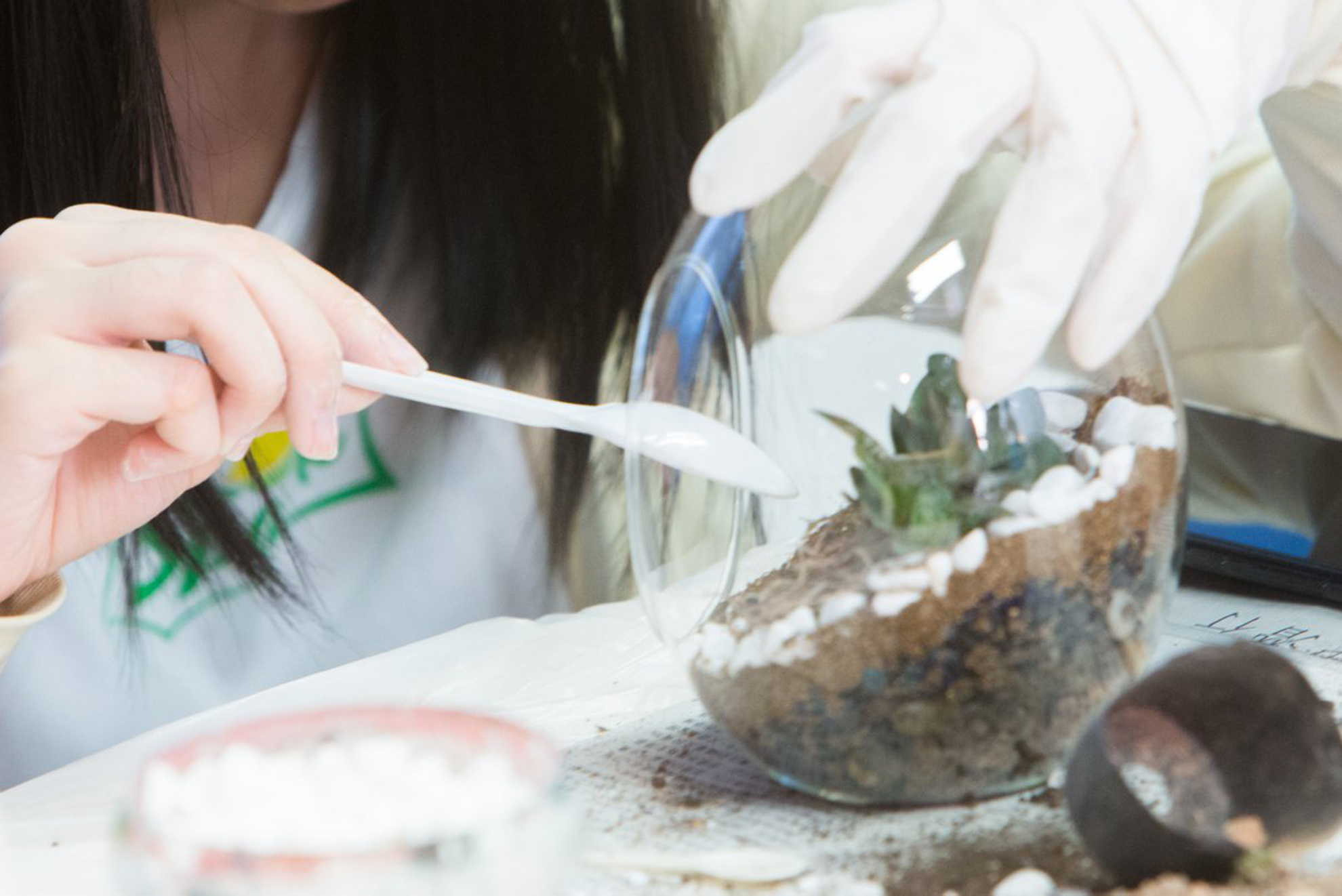 Program - Enrichment Activities | HKUST Summer Institute